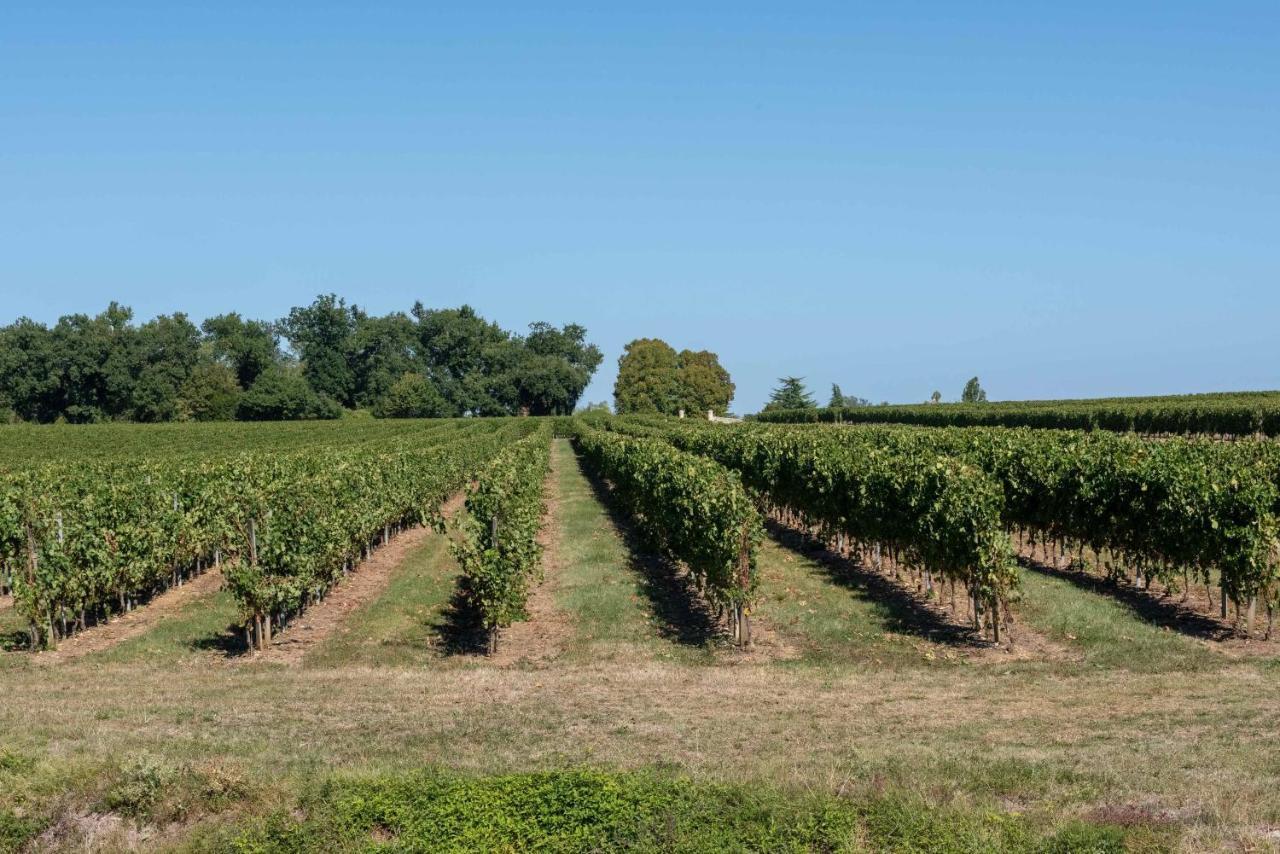 Rauzan L'Ilot Vignes Bed & Breakfast エクステリア 写真